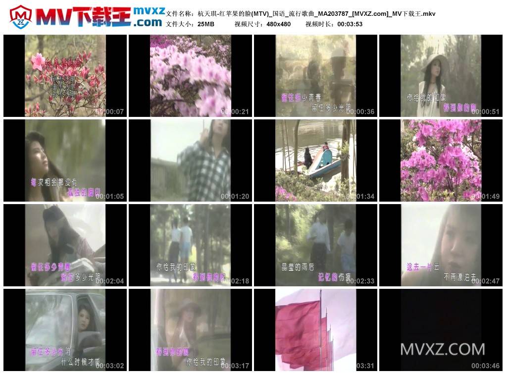 杭天琪-红苹果的脸(MTV)_国语_流行歌曲_MA203787